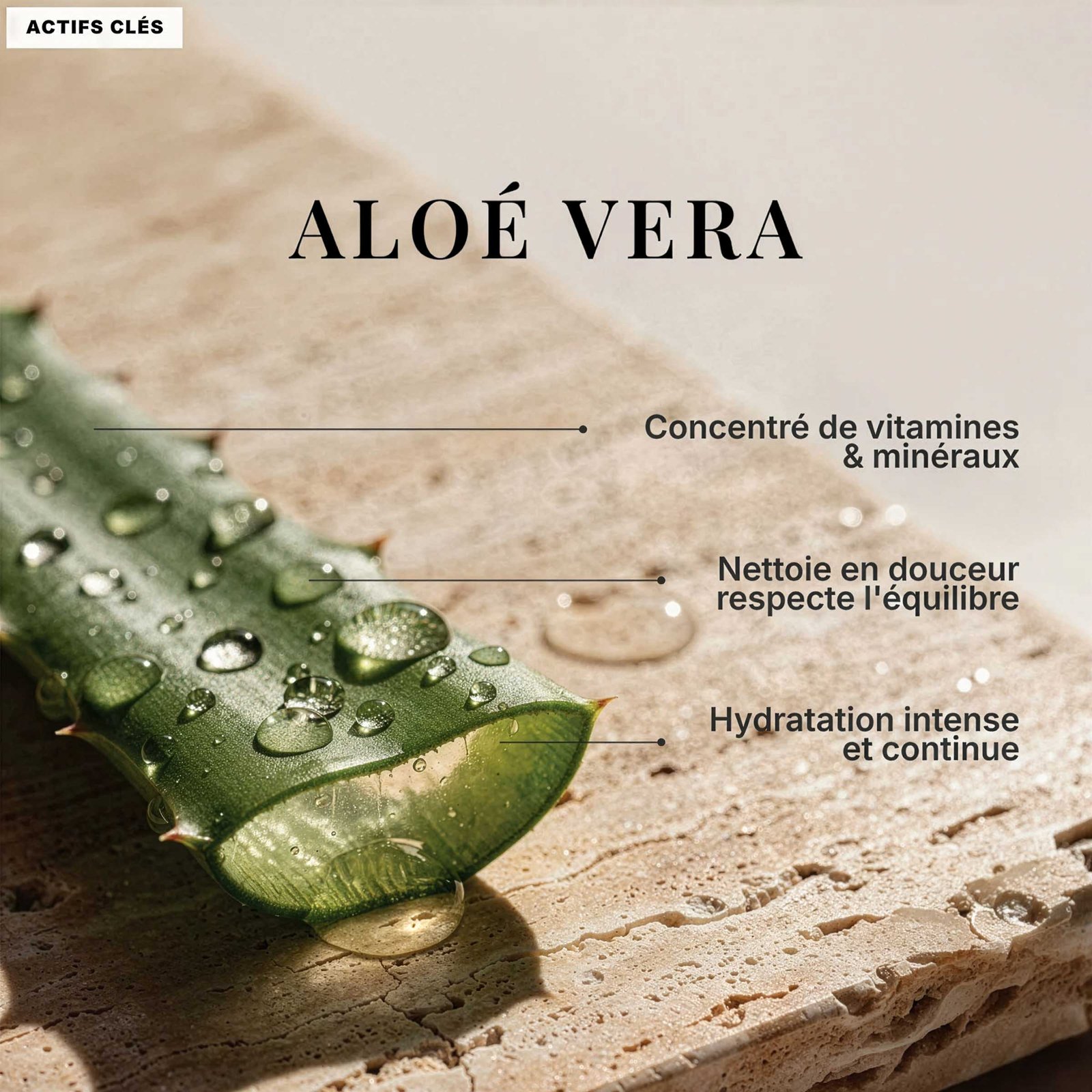 Mousse Sublime – Image 2